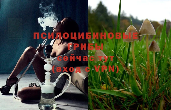 бошки Баксан